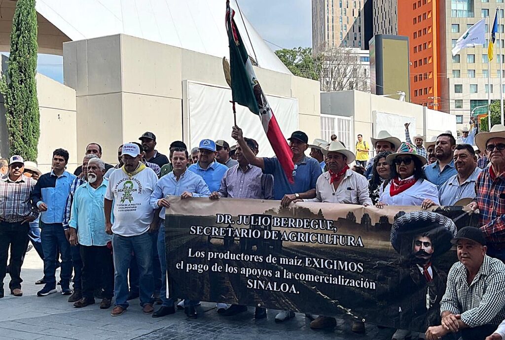 ESTAMOS CANSADOS QUE NADIE NOS ESCUCHE, MAICEROS PONEN ULTIMÁTUM MAICEROS