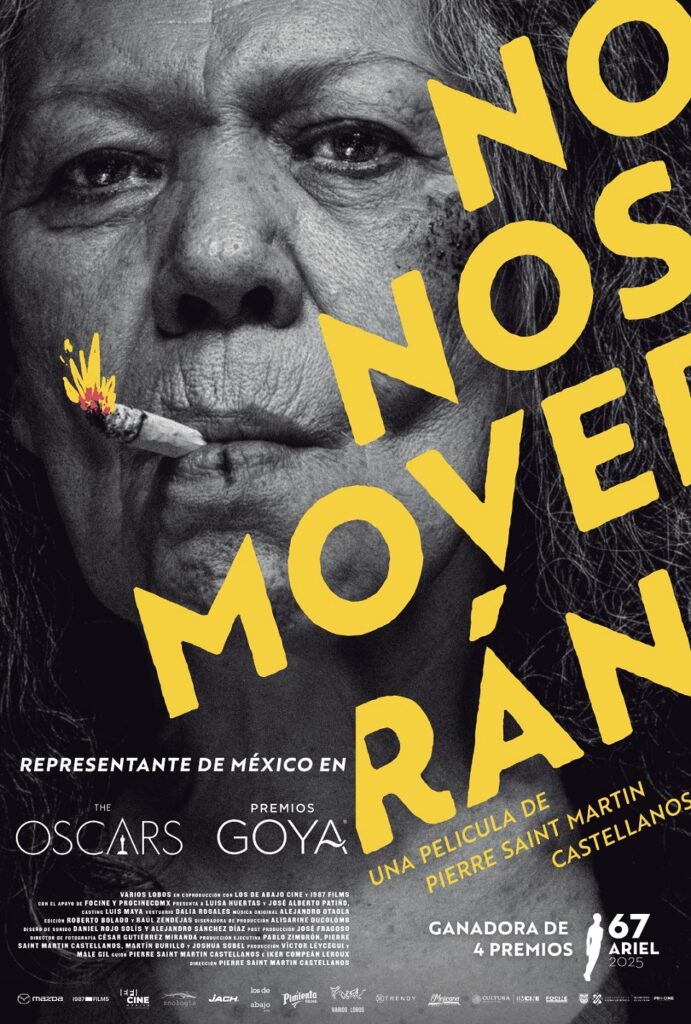 UNA PROPUESTA CINEMATOGRÁFICA AMPLIAMENTE RECOMENDABLE pelicula