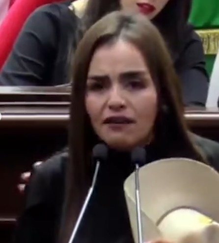 RED DELINCUENCIAL OPERÓ COMPRANDO AUTORIDADES EN MICHOACÁN: HARFUCH grecia quiroz