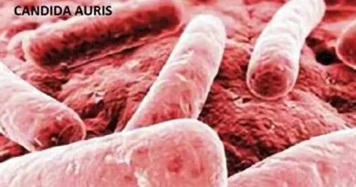 ALERTA SANITARIA: SÚPER BACTERIA MORTAL ATACA EN AUSTRALIA.