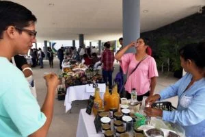AGRICULTURA ORGÁNICA ALTERNATIVA, RUTA PARA SOSTENIBILIDAD Y SOBERANÍA ALIMENTARIA.