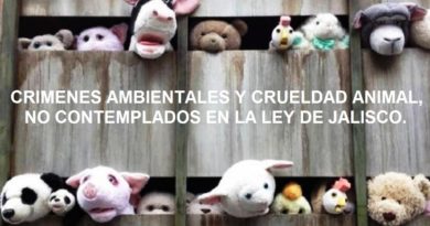 LA NUEVA LEY ORGÁNICA DE LA FISCALÍA DE JALISCO “SIN DIENTES” CONTRA CRÍMENES AMBIENTALES, RAFF.