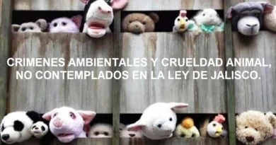 LA NUEVA LEY ORGÁNICA DE LA FISCALÍA DE JALISCO “SIN DIENTES” CONTRA CRÍMENES AMBIENTALES, RAFF.