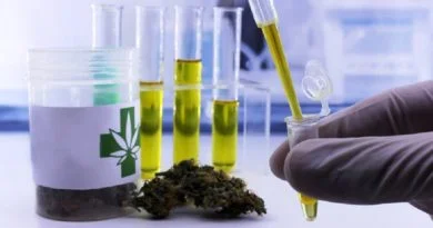 SUBEN DICTAMEN EN EL CONGRESO DE LA UNIÓN PARA QUE CANNABINOIDES PUEDAN LLEGAR A PACIENTES QUE LOS NECESITAN.