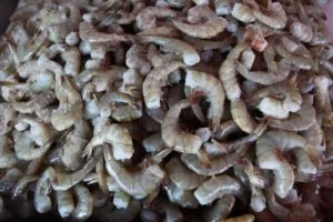 CHINA ESTÁ INTERESADO EN PRODUCTOS DEL CAMPO MEXICANO, SADER.