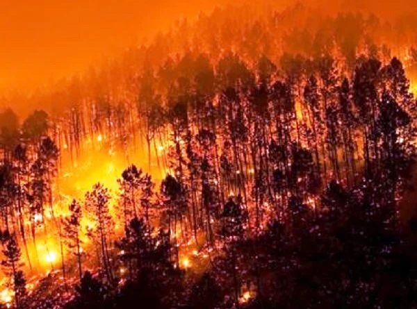 ABREN CONSULTA PÚBLICA PARA MODIFICAR LA NOM-15 EN MANEJO DEL FUEGO