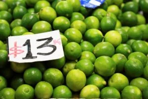 EN MARCHA ESTRATEGIA FITOSANITARIA PARA PROTEGER PRODUCCION DE CITRICOS NACIONALES.
