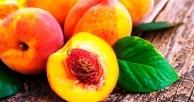 ORIGINARIO DEL LEJANO ORIENTE, EL DURAZNO FUE UN FRUTO EXCLUSIVO DE LA NOBLEZA.