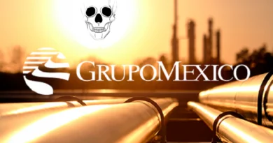 LA MINERÍA EN MÉXICO, UNA SIMULACIÓN EN MANOS DE EXTRANJEROS, CNCEMM.