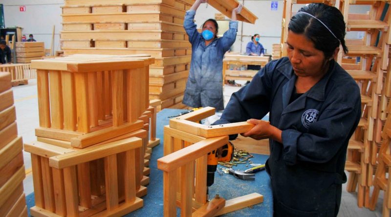 SE HA PREGUNTADO UD, DONDE RADICA LA SUSTENTABILIDAD DE LOS PRODUCTOS MADERABLES EN MÉXICO.