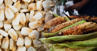 Inicia la temporada del elote Cacahuazintle.