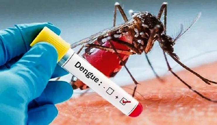 DENGUE SEROTIPO 2 EN JALISCO, MÁS PELIGROSO QUE OTROS, ADVIERTE INVESTIGADOR DE LA UDEG.