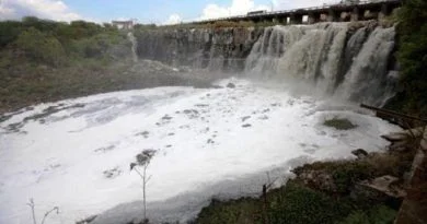 EL RASTRO MUNICIPAL DE EL SALTO CUMPLIÓ UN AÑO CERRADO.
