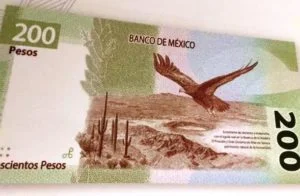 DESPUÉS DE CUATRO DÉCADAS "DEGRADAN" A SOR JUANA.