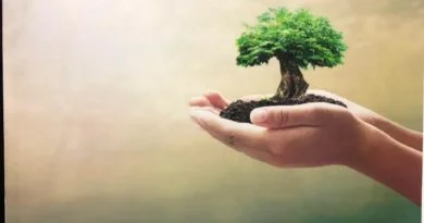 EL LIBRO QUE TODO MUNDO DEBE LEER PARA SABER DE DERECHO AMBIENTAL.