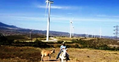 EL RETO PARA JALISCO SER LÍDER EN ENERGÍAS LÍMPIAS, CIMEJ.