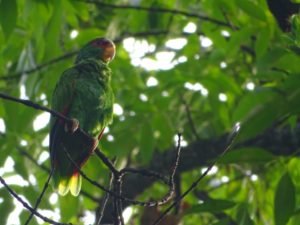 EXISTIÓ UNA VEZ UN "OASÍS" EN JARDÍNES DE LA PAZ.