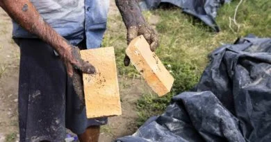 ESTUDIANTES DE LA UDEG DESARROLLAN ADITIVO QUE REDUCE LA CONTAMINACIÓN EN PROCESO LADRILLERO.