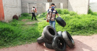 MÁS DE 10 MIL LLANTAS DEJAN DE SER CRIADEROS DE ZANCUDOS EN EL SALTO.