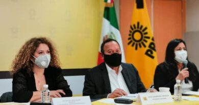 POR EL BIEN DE MÉXICO, NECESARIAS LAS ALIANZAS PARTIDISTAS: NATALIA JUÁREZ
