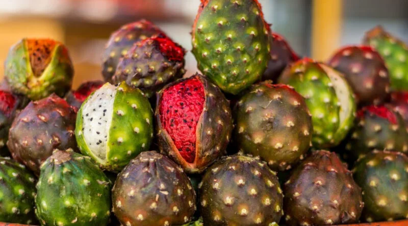 SIN PITAYAS EL PRIMER DÍA DE LA FERIA EN LAS NUEVE ESQUINAS