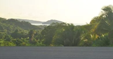 LA "ISLA DEL CORAL" SERÁ UN ATRACTIVO NATURAL APRECIABLE DESDE LA NUEVA AUTOPISTA NAYARITA