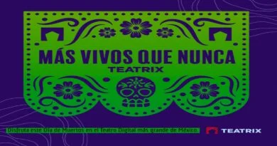 EL SHOW DEBE CONTINUAR, EL TEATRO EN TIEMPOS DE PANDEMIA