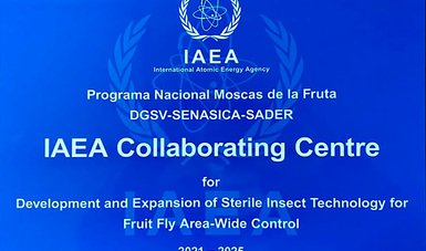 CONVENIAN CUATRO AÑOS MÁS SADER Y LA OIEA PROGRAMA DE COMBATE A LA MOSCA DE LA FRUTA EN MÉXICO