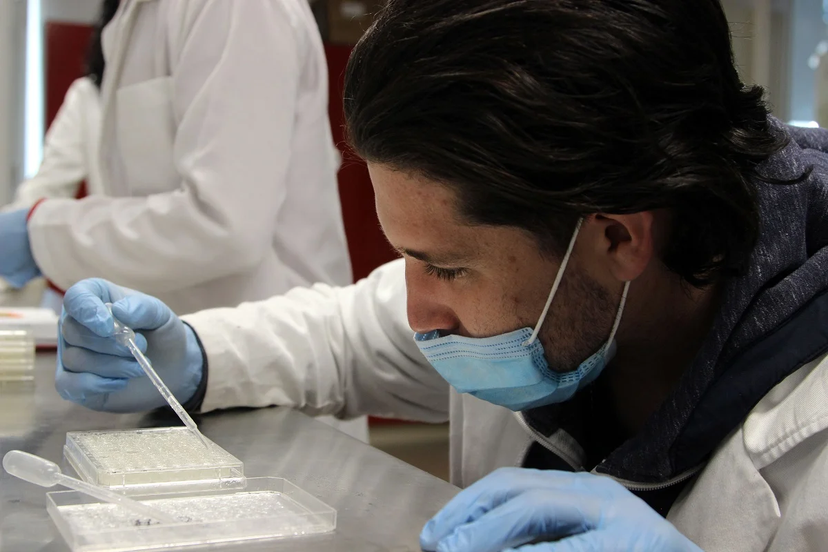 INVESTIGADORES SINTETIZAN COMPONENTE MAGENTICO CON NANOPARTÍCULAS PARA LIMPIAR AGUAS RESIDUALES INVESTIGADORES SINTETIZAN COMPONENTE MAGENTICO CON NANOPARTÍCULAS PARA LIMPIAR AGUAS RESIDUALES