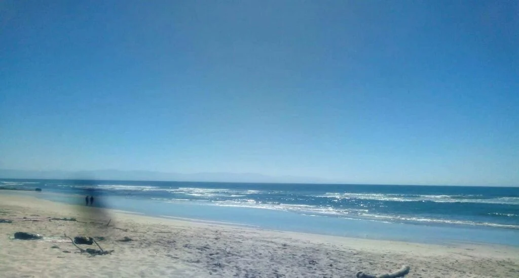 MAR