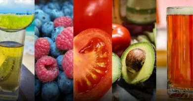 RESULTADOS POSITIVOS EN EXPORTACIONES DEBEN PRIORIZAR AL CAMPO Y LA AGROINDUSTRIA: CANACINTRA