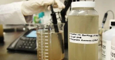 ENCUENTRAN ALTERACIONES RENALES EN RATONES DE LABORATORIO QUE BEBIERON AGUA DEL RÍO SANTIAGO: CUTONALÁ