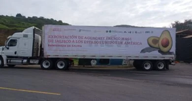 aguacates de exportacion jalisco
