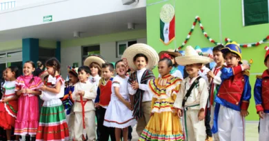curriculum educacion