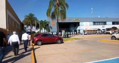 FLECHA AMARILLA LEON