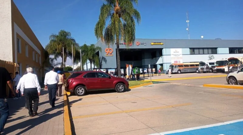 FLECHA AMARILLA LEON