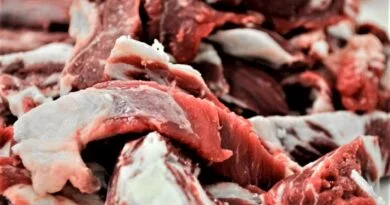 CARNE