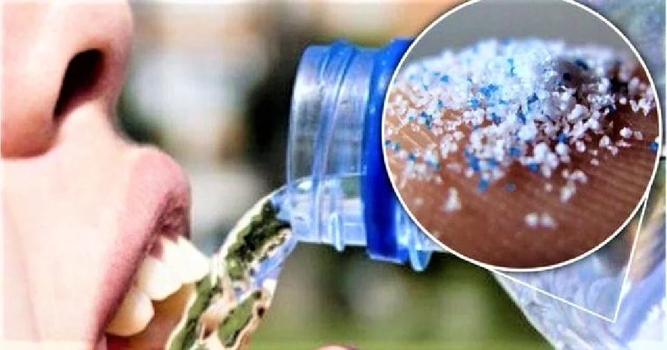 MÁS COMÚN ENCONTRAR MICROPARTICULAS PLÁSTICAS EN EL SER HUMANO, ADVIERTEN INVESTIGADORES MICROPLASTICOS