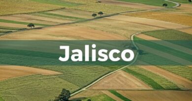 jalisco