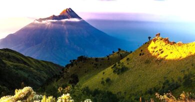 valle