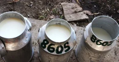 leche