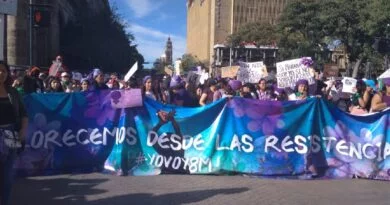 marcha 8M