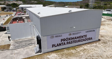 planta lechera
