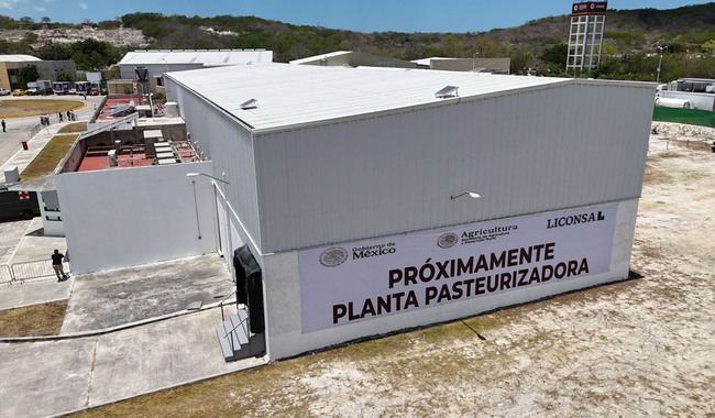 planta lechera