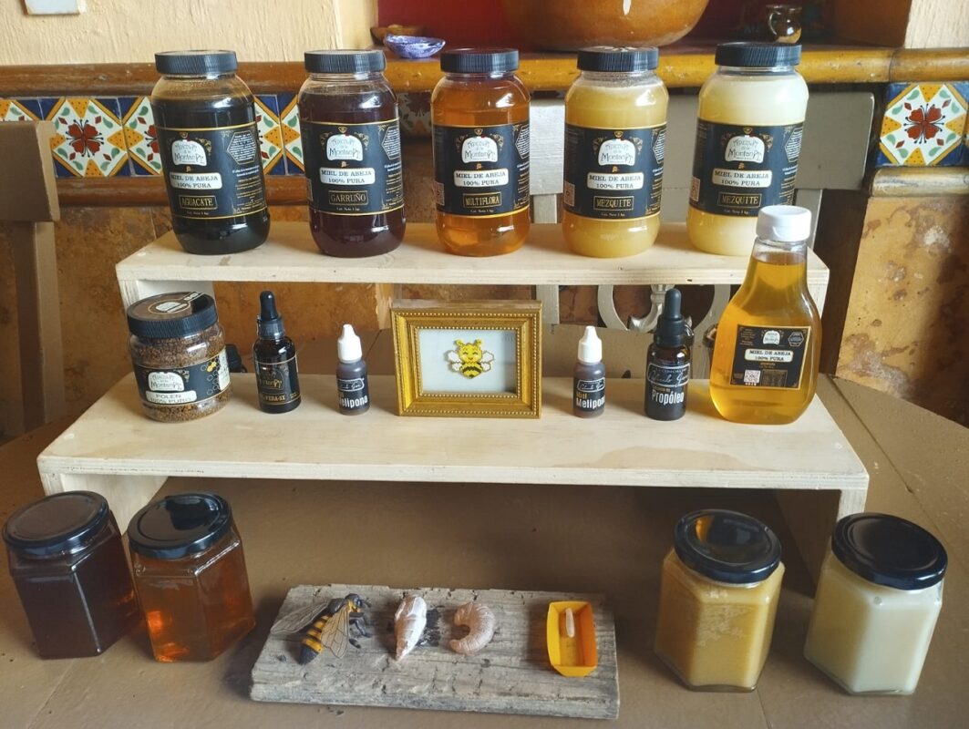 OMISIONES LEGISLATIVAS EN MATERIA REGULATORIA CONDENAN AL POLINIZADOR MÁS IMPORTANTE ABEJA