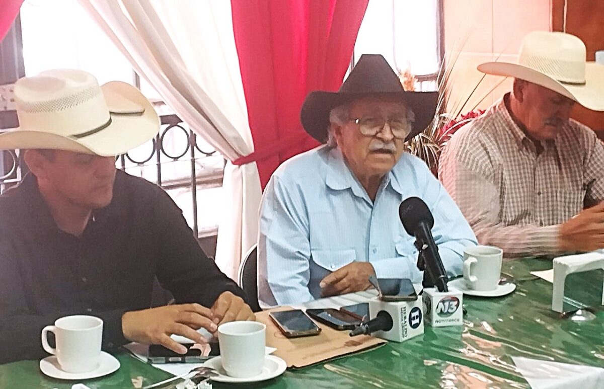 POLÍTICAS MANIPULADAS POR MAFIA TEQUILERA CONDENA LA PRODUCCIÓN AGAVERA agaveros