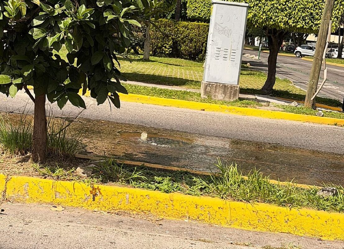Vecinos alertan riesgo por coliformes fecales esparcidos en el ambiente fuga
