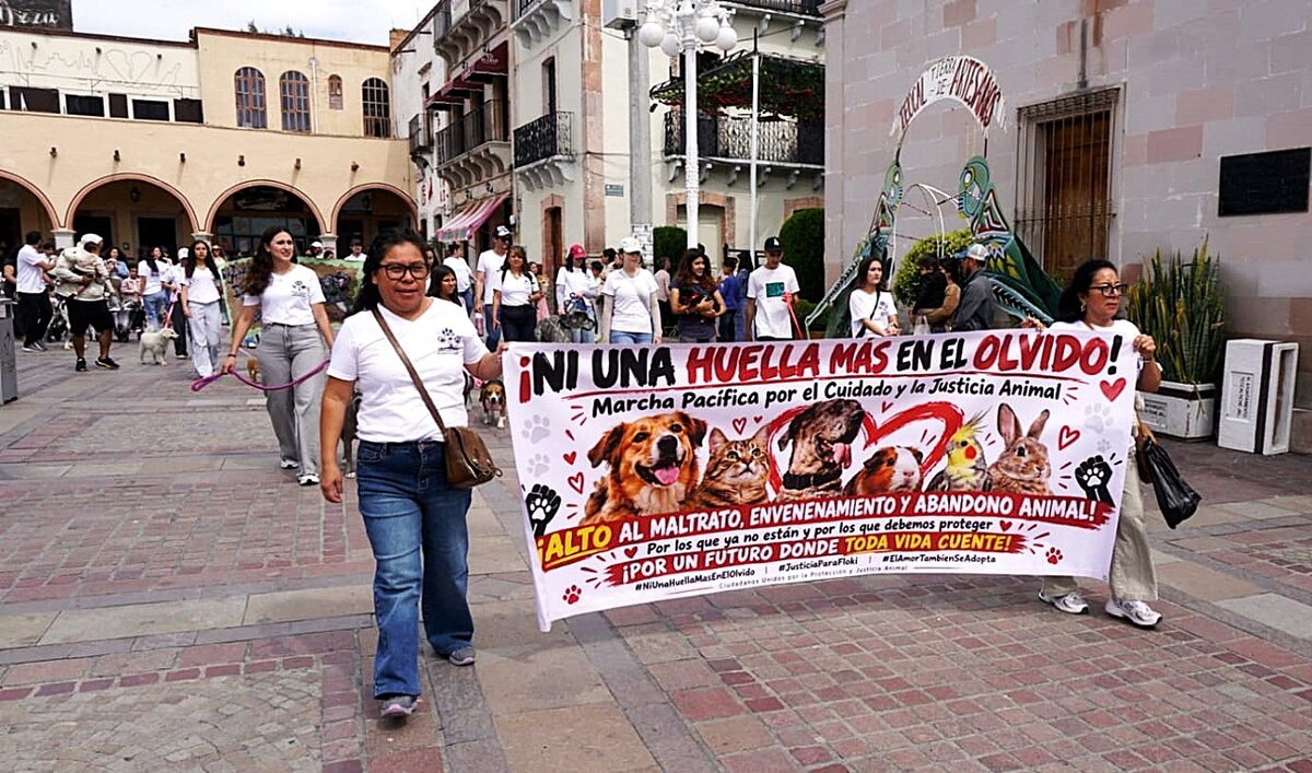 La historia de Floky, su huella por la justicia animal teocal